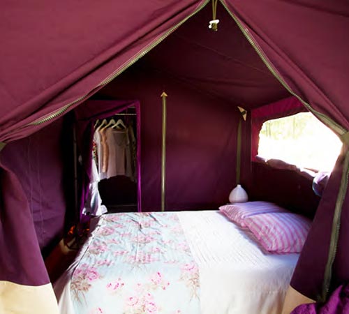 Tente FreeFlower